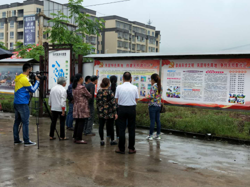 图片14 图片14
