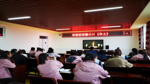 图片13 图片13