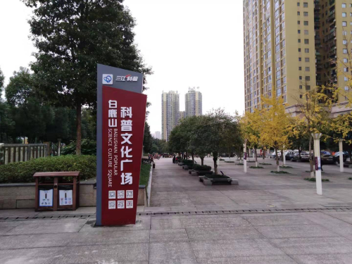 图片7 图片7