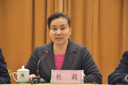 6河南省反邪教协会秘书长杜莉同志讲话 6河南省反邪教协会秘书长杜莉同志讲话