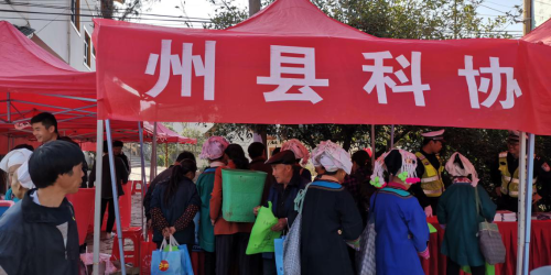 图片2 图片2