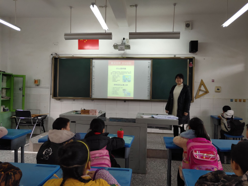 图片9 图片9