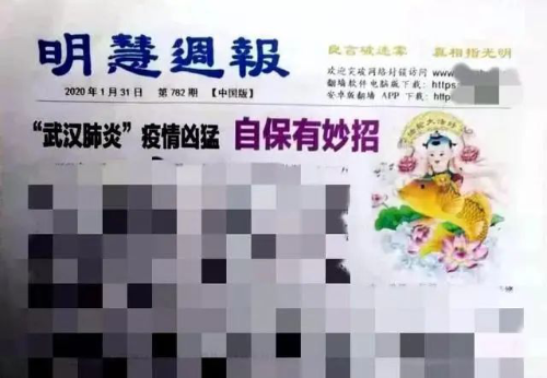 图片6