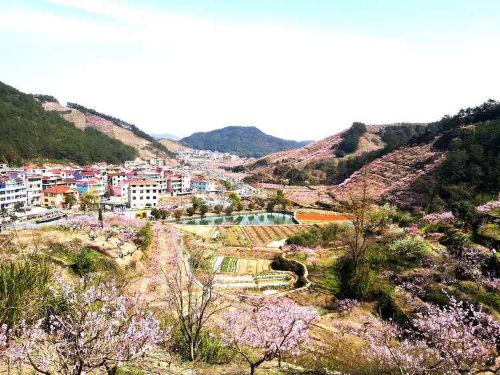 图片2