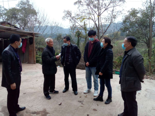 图片7 图片7