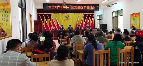 产业发展技术培训现场 产业发展技术培训现场