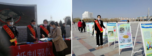 图片4 图片4