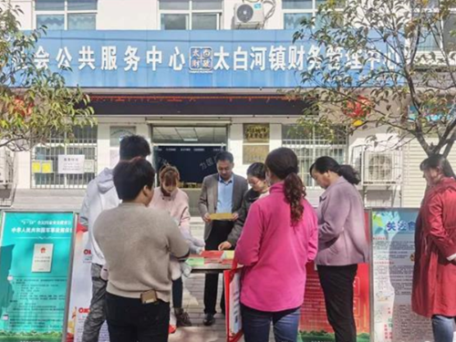 图片8