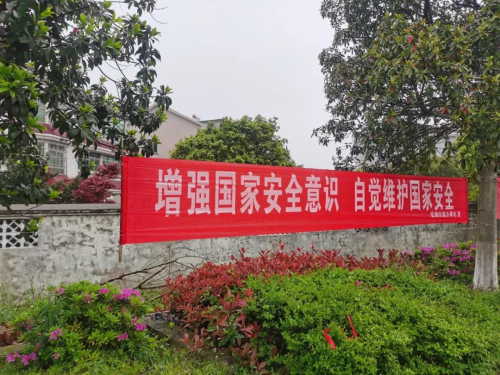 图片13