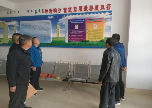 图片3