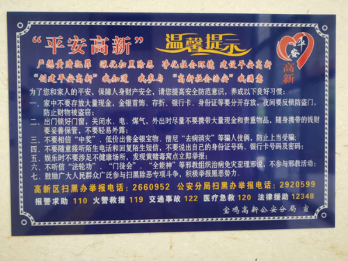 图片11 图片11