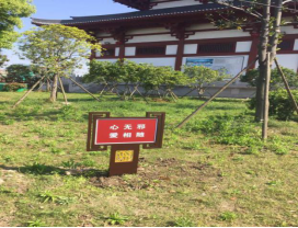 投稿：南湖区巩固文化宣传阵地，筑牢基层反邪防线431
