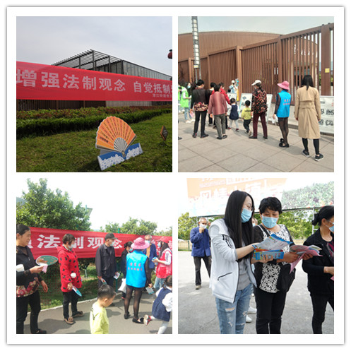 图片3