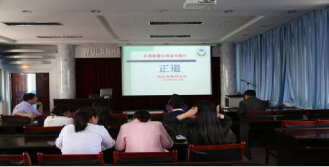 图片8