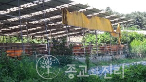 韩媒揭批“全能神”信徒来韩务农真相 (5)