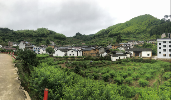 浙江：守护“净土”，人人有责