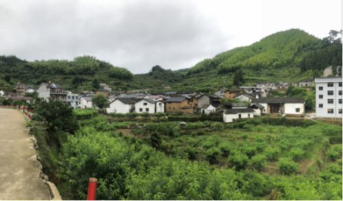 守护“净土”,人人有责257 守护“净土”,人人有责257