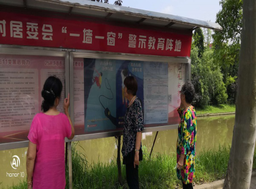 图片6