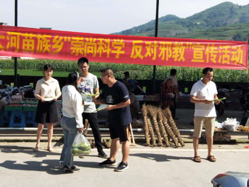图片8