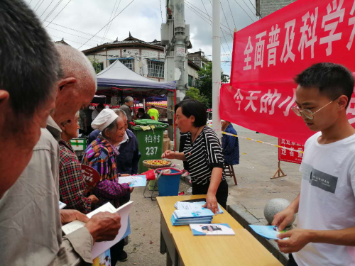 图片11