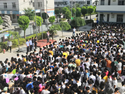 图片16 图片16
