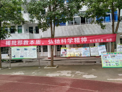 图片8 图片8