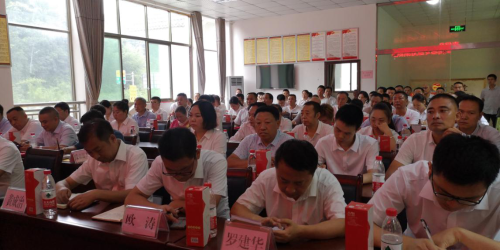 图片11 图片11