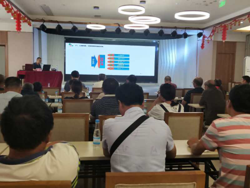图片11 图片11