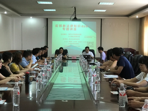 图片11 图片11