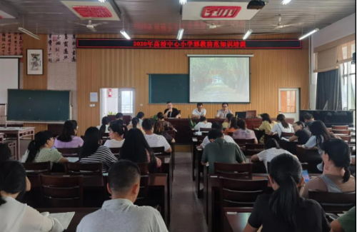 高桥中心小学719