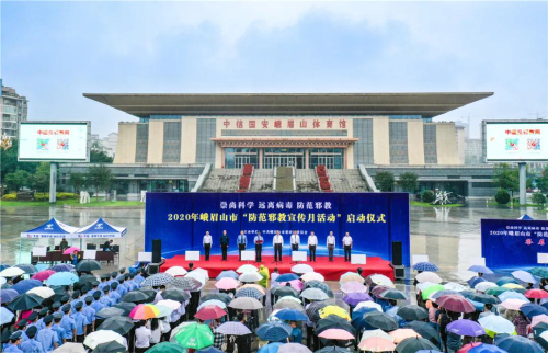 图片4