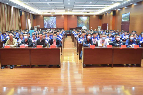 图片15 图片15