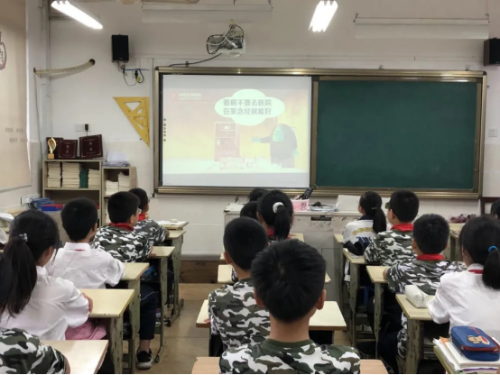 遂昌县实验小学137 遂昌县实验小学137