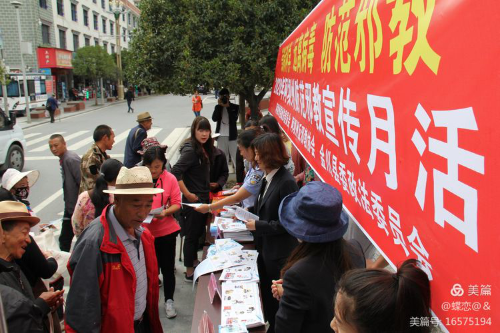 图片8