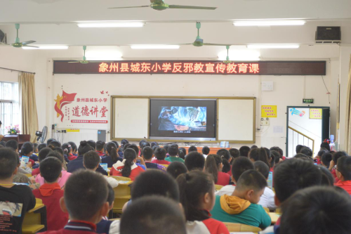 图片5