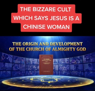 国外网友：恶魔邪教“东方闪电”