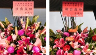 海外华人已成为“法轮功”谣言的受害者 台湾地区已成为“法轮功”吸血的重灾区
