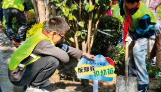 童心护绿・远离邪教 --浙江杭州拱墅区植树节里的反邪教宣传