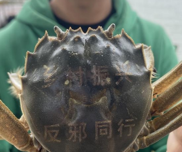 浙江余姚：牟山湖大闸蟹“化身”反邪宣传员