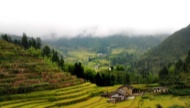 人生梦魇