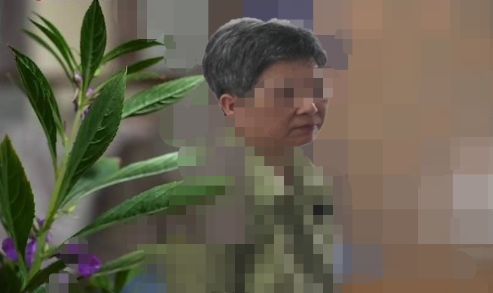 158950孤寂的晚年：痴迷“神国”的难言悔恨.jpg