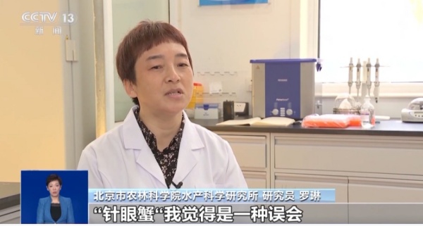 600螃蟹有“针眼”是被打了东西？_副本.jpg