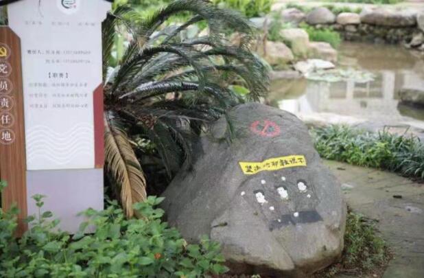 6.jpg 6.jpg