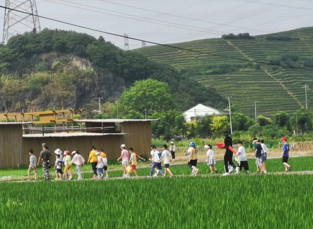 小候鸟夏令营3.png 小候鸟夏令营3.png