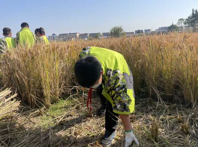 微信截图_20231130145219.png
