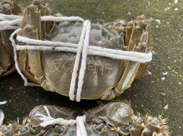 微信截图_20231221160418.png
