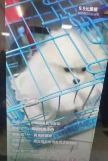 微信截图_20240219132415.png 微信截图_20240219132415.png