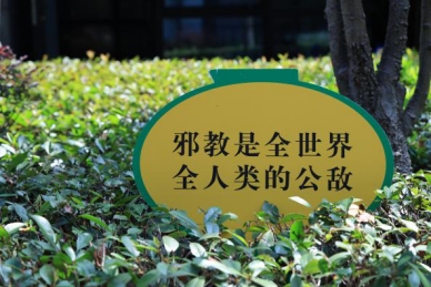 杭州市余杭区宣传信息454.png