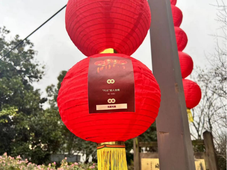 杭州西湖区元宵活动组稿1586.png