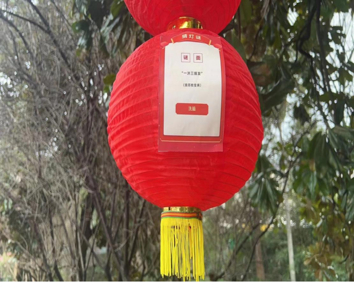 杭州西湖区元宵活动组稿1659.png